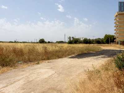 ...che indica l�inizio di un sentiero che prosegue in un vasto campo